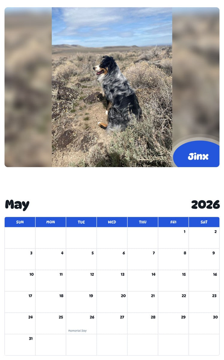 2026 - 2027 Jinx - Pawidols Pet Calendar