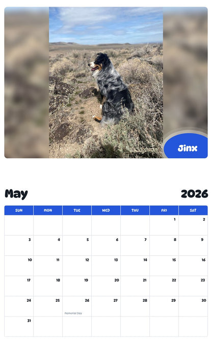2026 - 2027 Jinx - Pawidols Pet Calendar