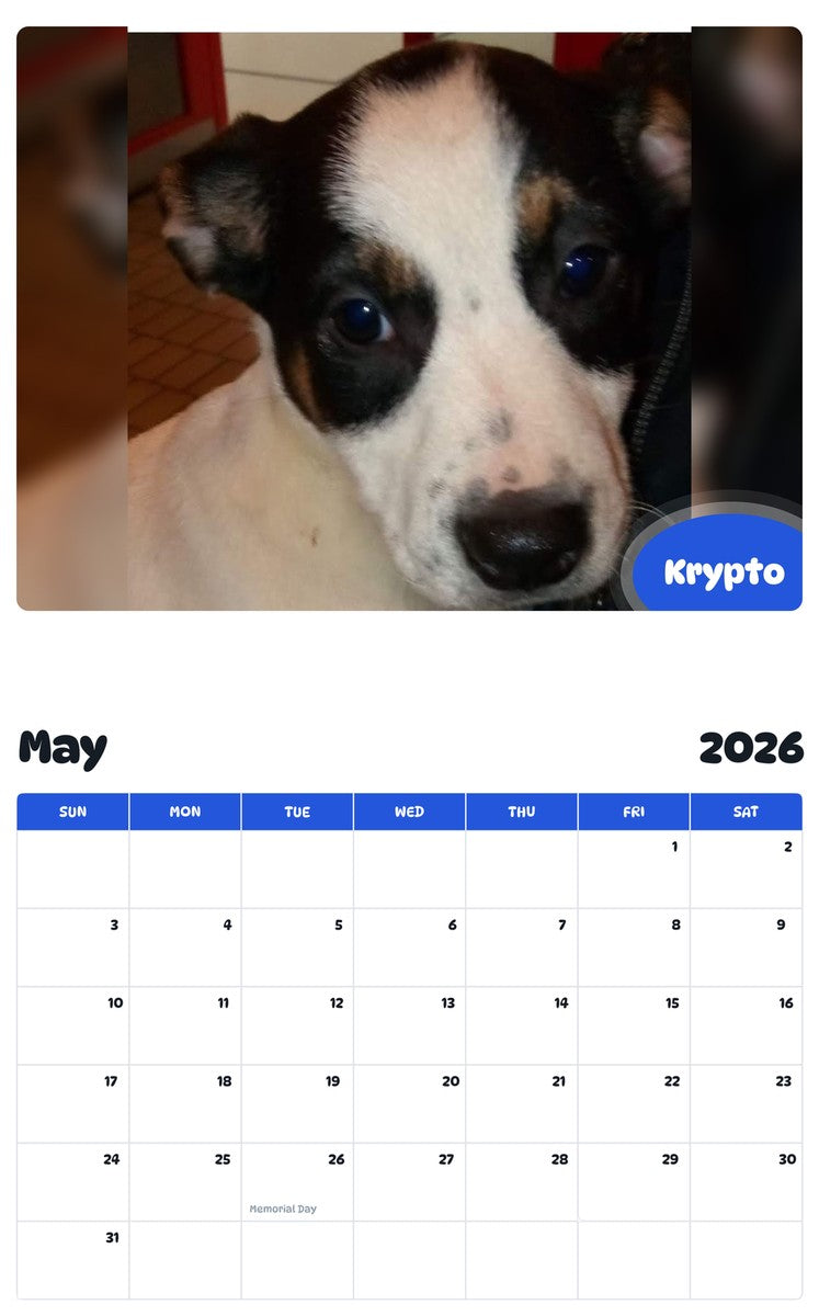 2026 - 2027 Krypto - Pawidols Pet Calendar