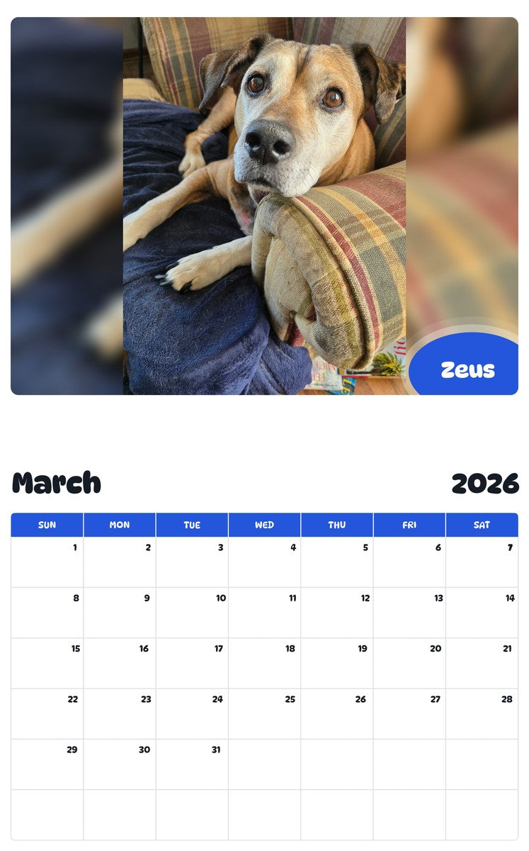 November 2025 - October 2026 Zeus - Pawidols Pet Calendar
