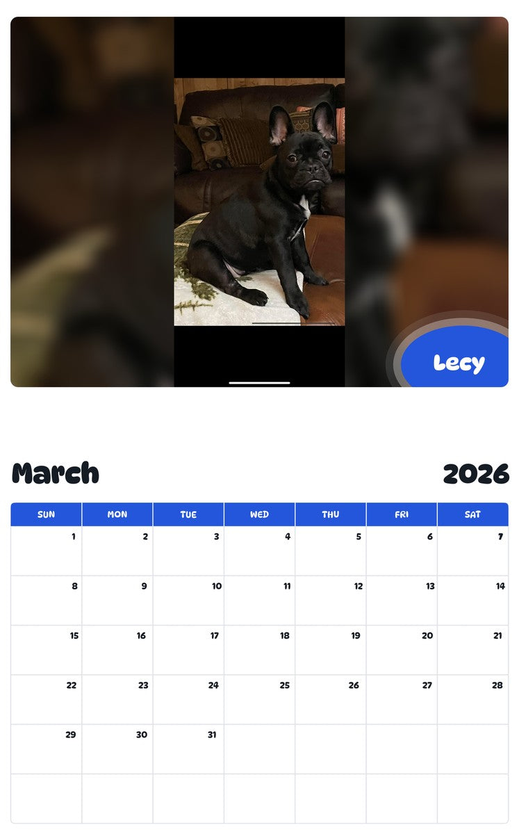 November 2025 - October 2026 Lecy - Pawidols Pet Calendar