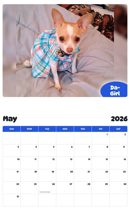 2026 - 2027 Da-Girl - Pawidols Pet Calendar