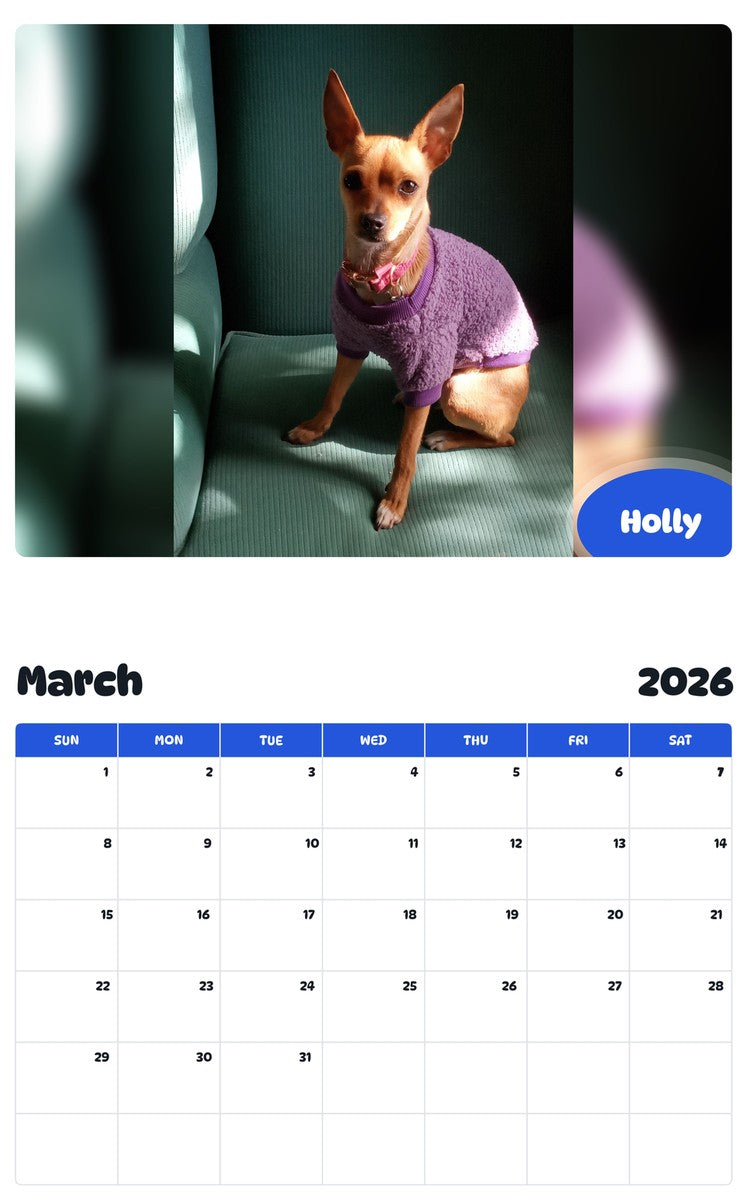 November 2025 - October 2026 Holly - Pawidols Pet Calendar