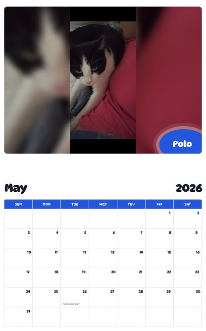 2026 - 2027 Polo - Pawidols Pet Calendar