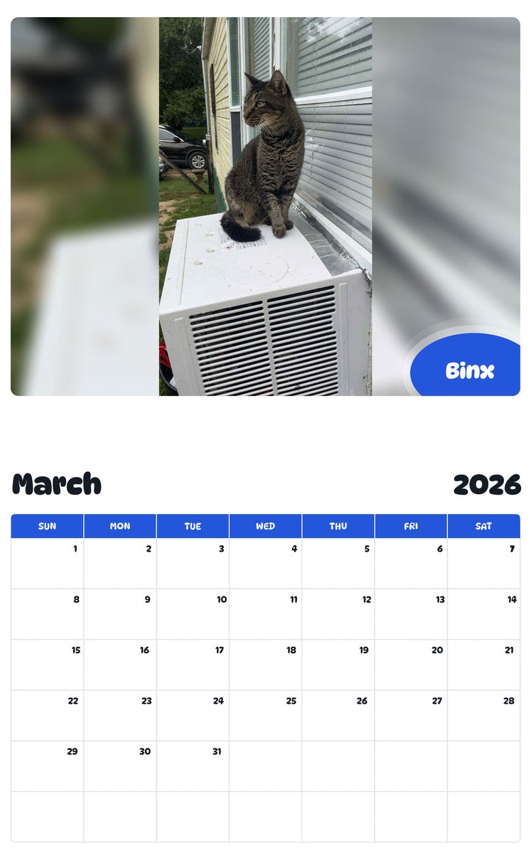 November 2025 - October 2026 Binx - Pawidols Pet Calendar