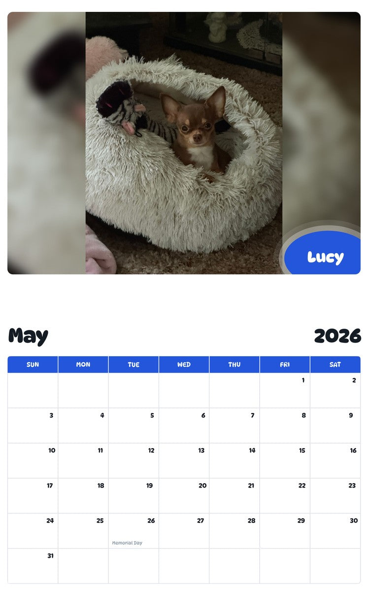 2026 - 2027 Lucy - Pawidols Pet Calendar