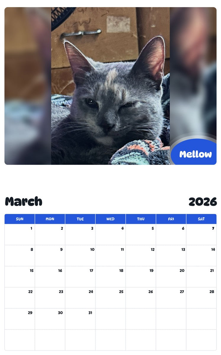 November 2025 - October 2026 Mellow - Pawidols Pet Calendar