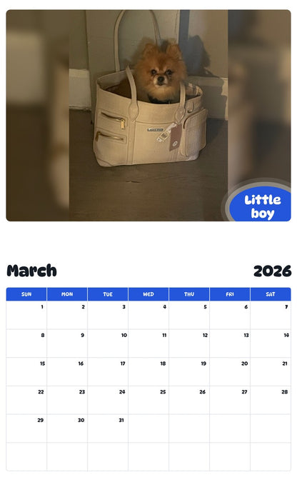 November 2025 - October 2026 Little boy - Pawidols Pet Calendar