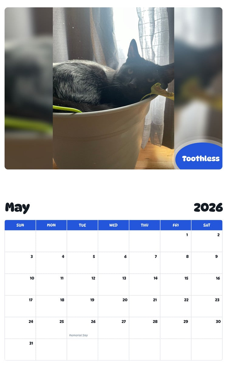 2026 - 2027 Toothless - Pawidols Pet Calendar
