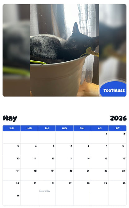 2026 - 2027 Toothless - Pawidols Pet Calendar