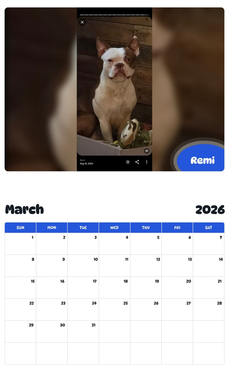 November 2025 - October 2026 Remi - Pawidols Pet Calendar
