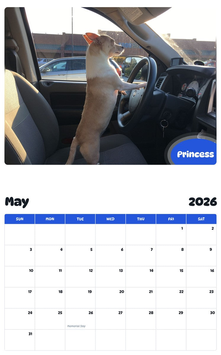 2026 - 2027 Princess - Pawidols Pet Calendar