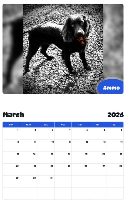 November 2025 - October 2026 Ammo - Pawidols Pet Calendar