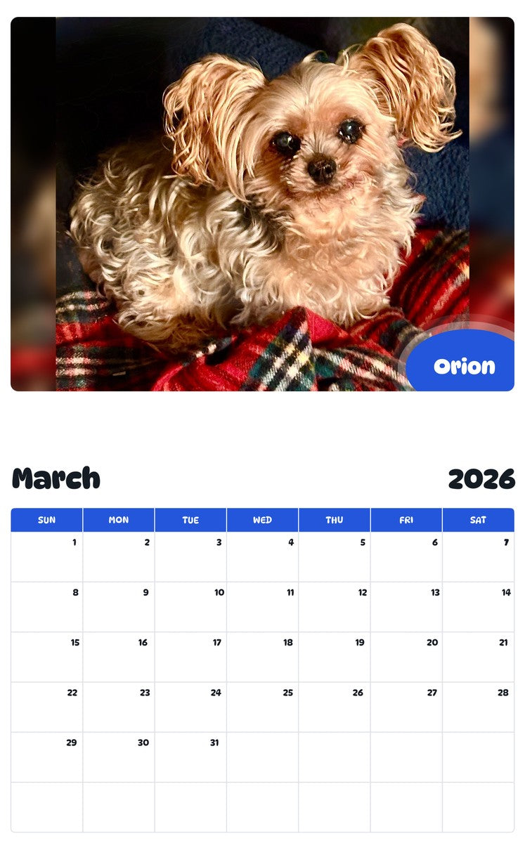 November 2025 - October 2026 Orion - Pawidols Pet Calendar