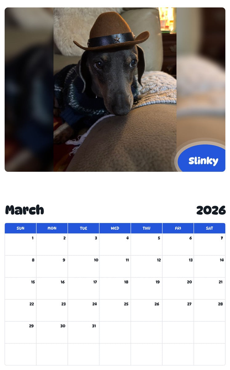 November 2025 - October 2026 Slinky - Pawidols Pet Calendar