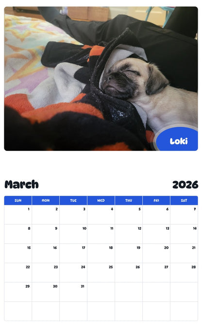 November 2025 - October 2026 Loki - Pawidols Pet Calendar