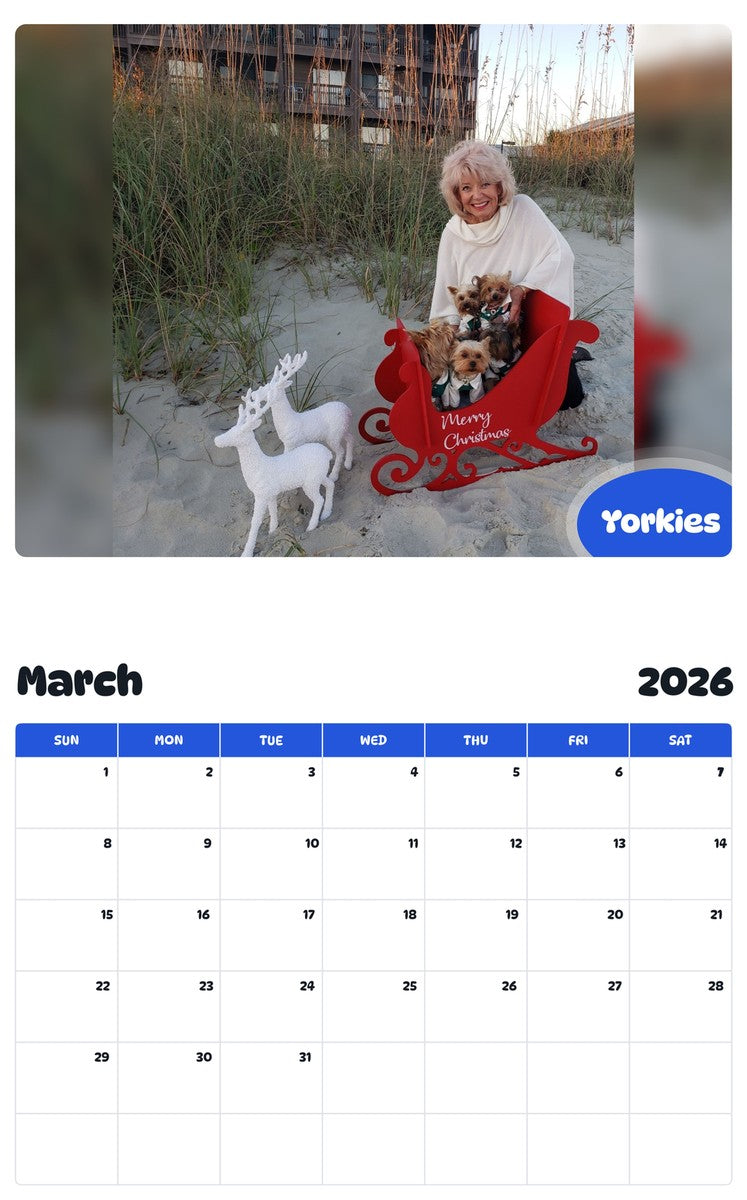 November 2025 - October 2026 Yorkies - Pawidols Pet Calendar