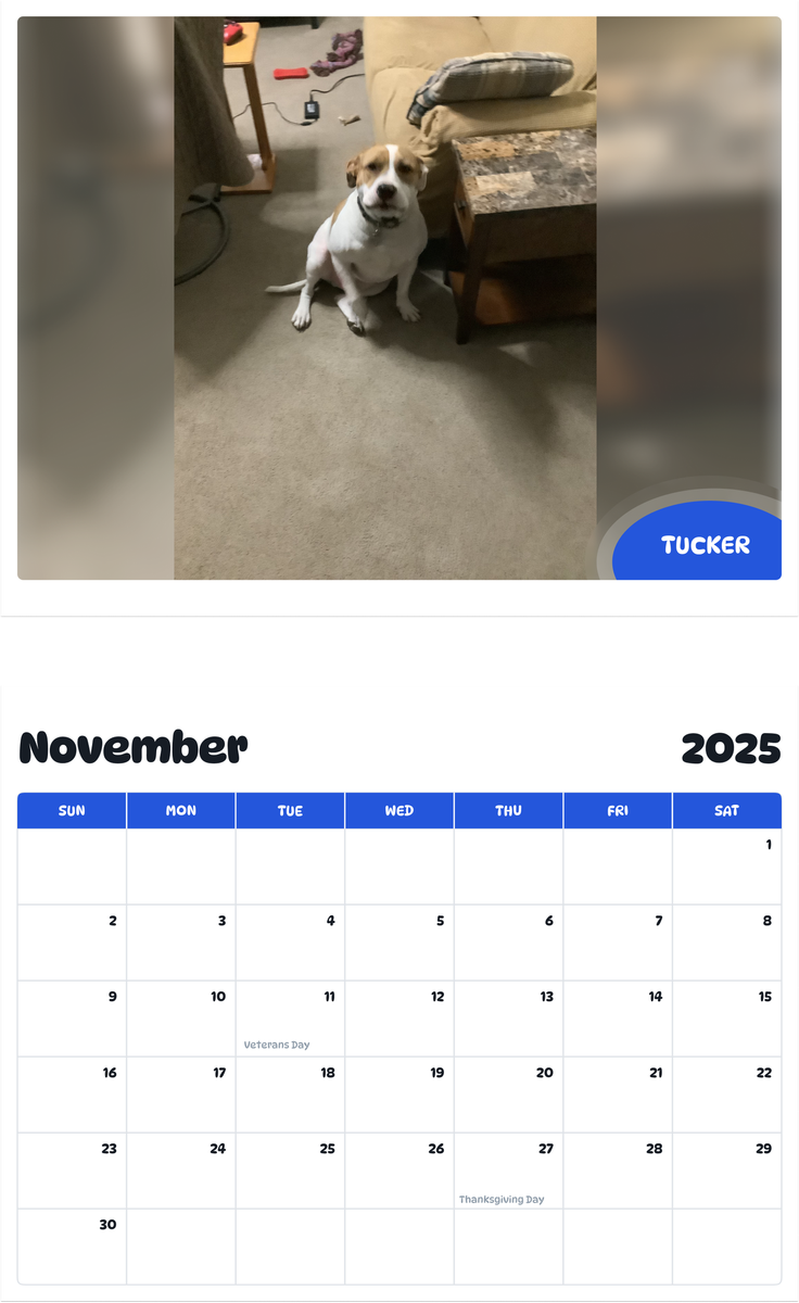 July 2025 - June 2026 Tucker - Pawidols Pet Calendar