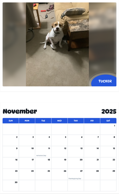 July 2025 - June 2026 Tucker - Pawidols Pet Calendar