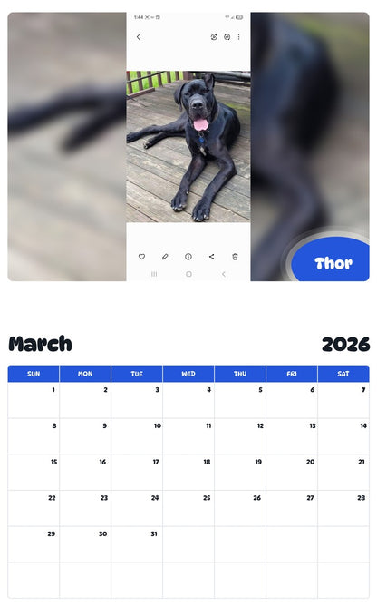 November 2025 - October 2026 Thor - Pawidols Pet Calendar