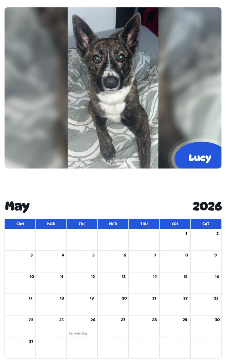 2026 - 2027 Lucy - Pawidols Pet Calendar
