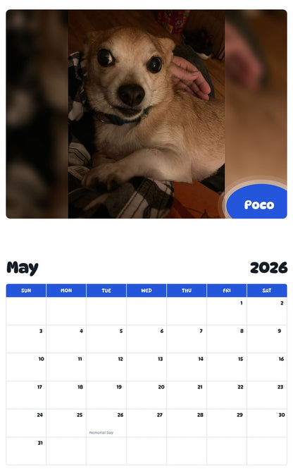 2026 - 2027 Poco - Pawidols Pet Calendar