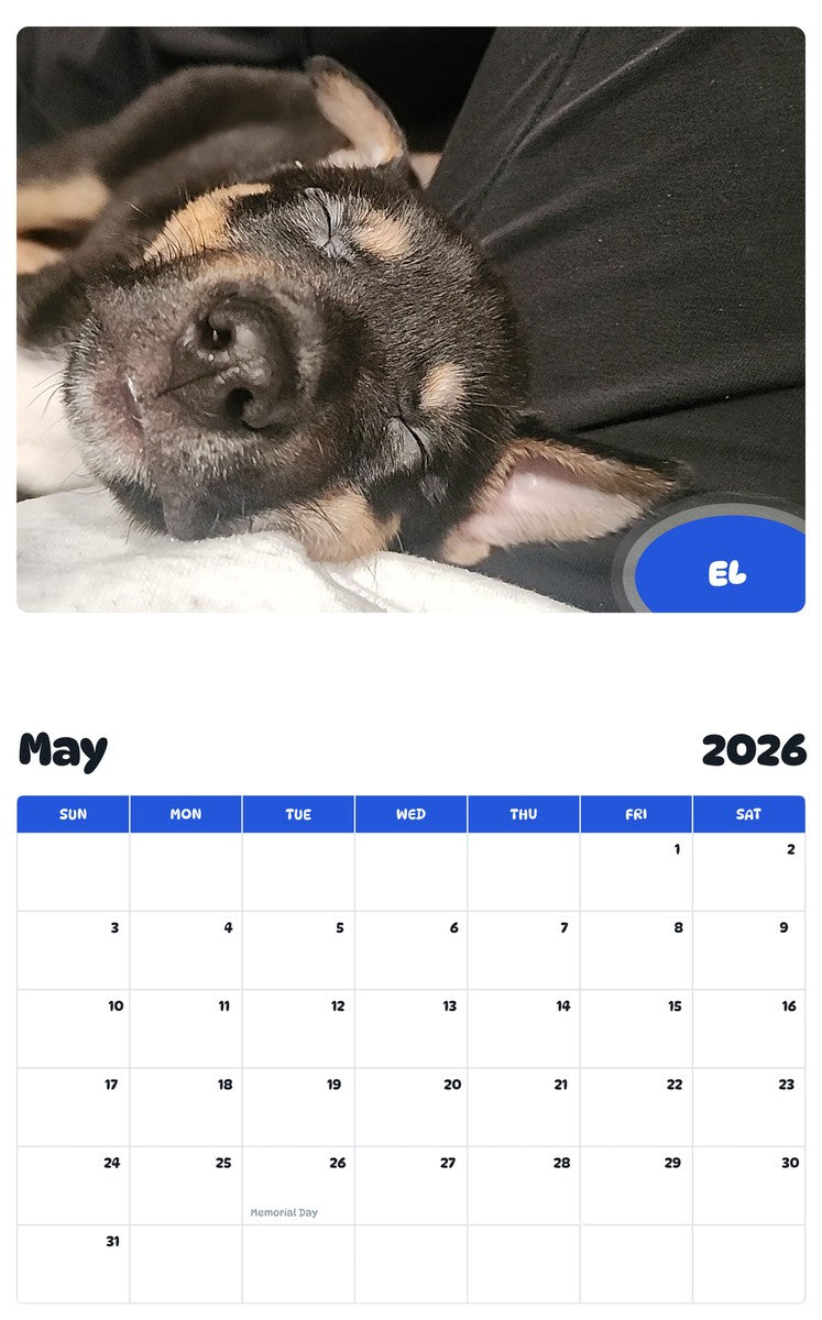 2026 - 2027 EL - Pawidols Pet Calendar