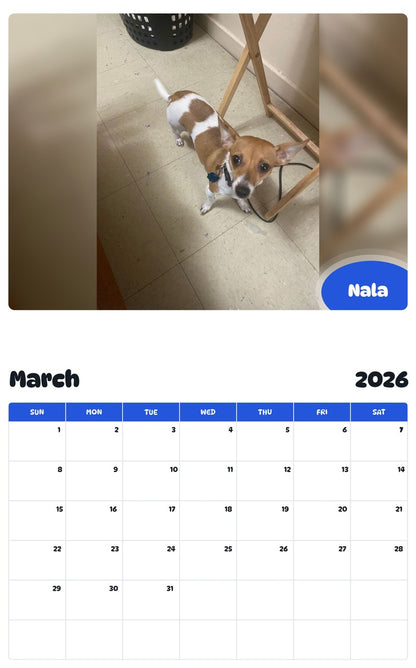 November 2025 - October 2026 Nala - Pawidols Pet Calendar