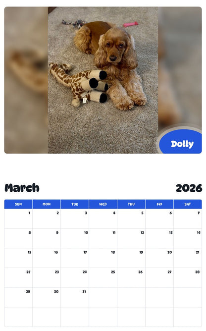 November 2025 - October 2026 Dolly - Pawidols Pet Calendar