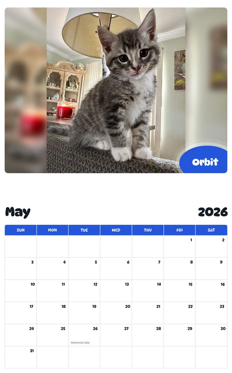 2026 - 2027 Orbit - Pawidols Pet Calendar