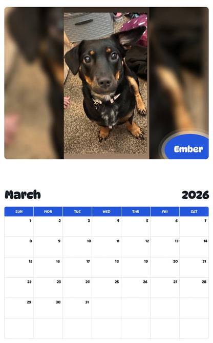 November 2025 - October 2026 Ember - Pawidols Pet Calendar