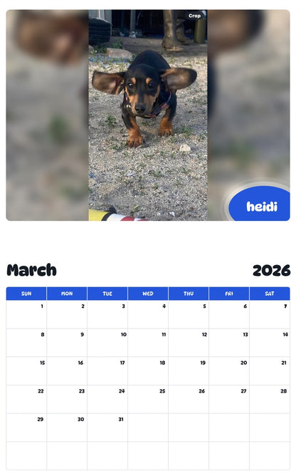 November 2025 - October 2026 heidi - Pawidols Pet Calendar