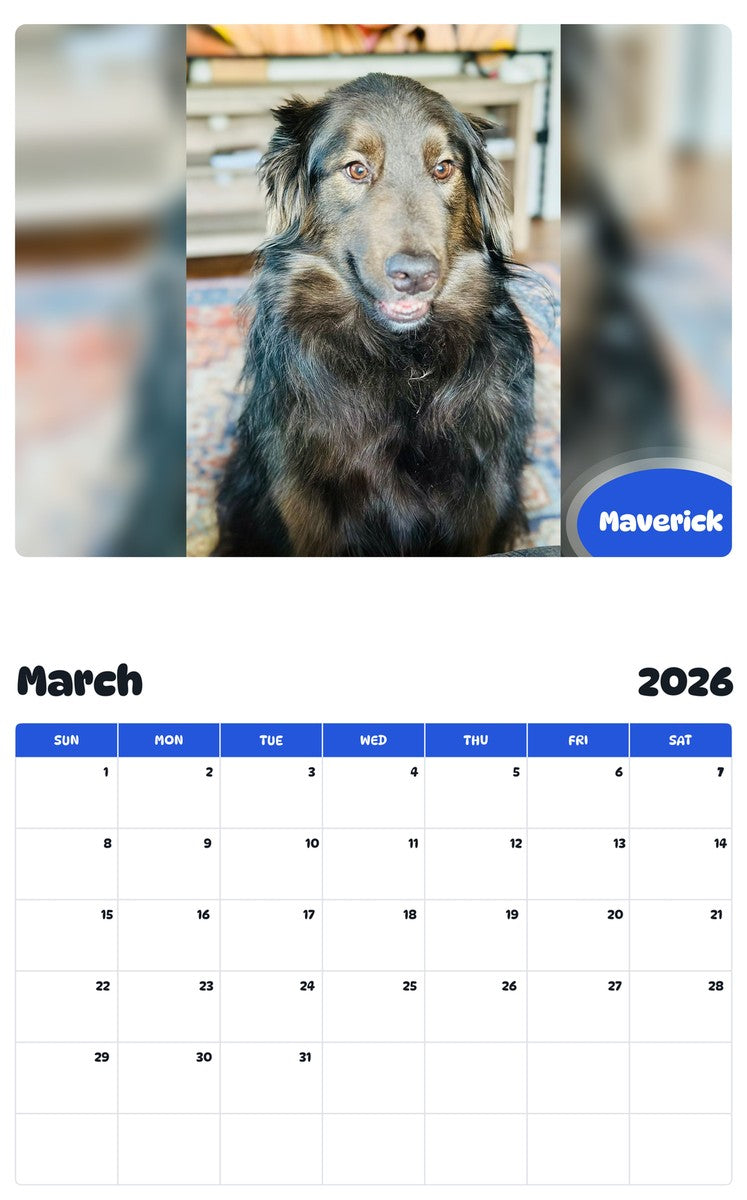 November 2025 - October 2026 Maverick - Pawidols Pet Calendar