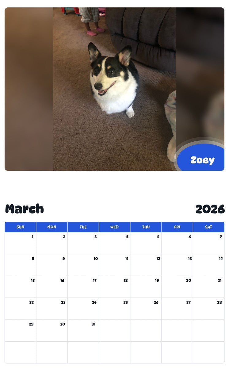 November 2025 - October 2026 Zoey - Pawidols Pet Calendar
