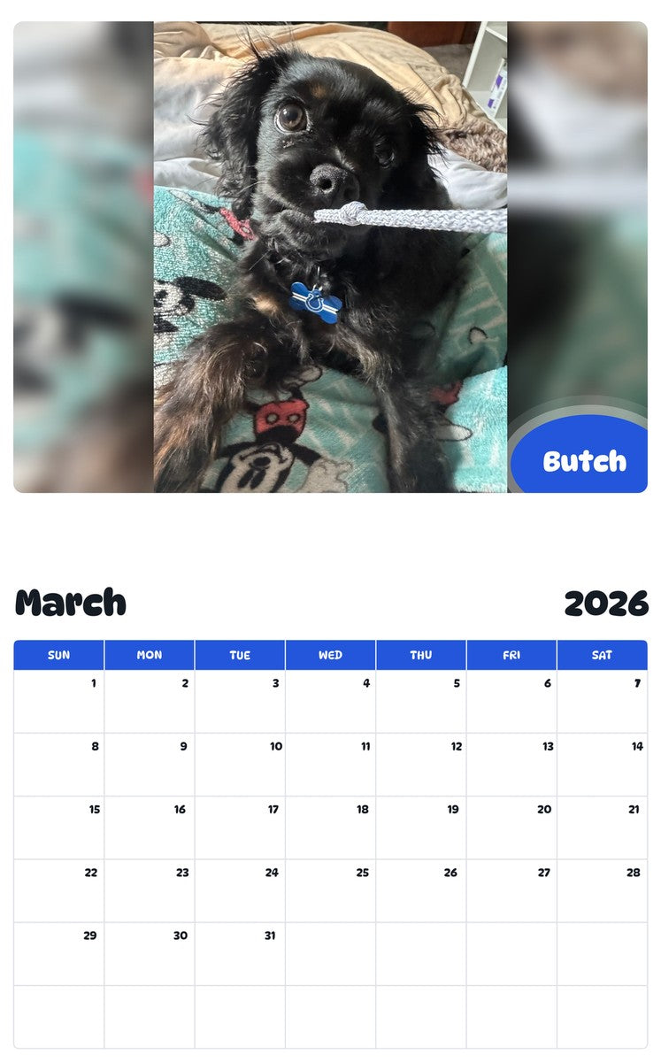 November 2025 - October 2026 Butch - Pawidols Pet Calendar
