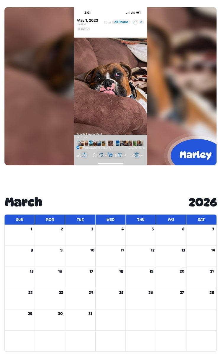 November 2025 - October 2026 Marley - Pawidols Pet Calendar