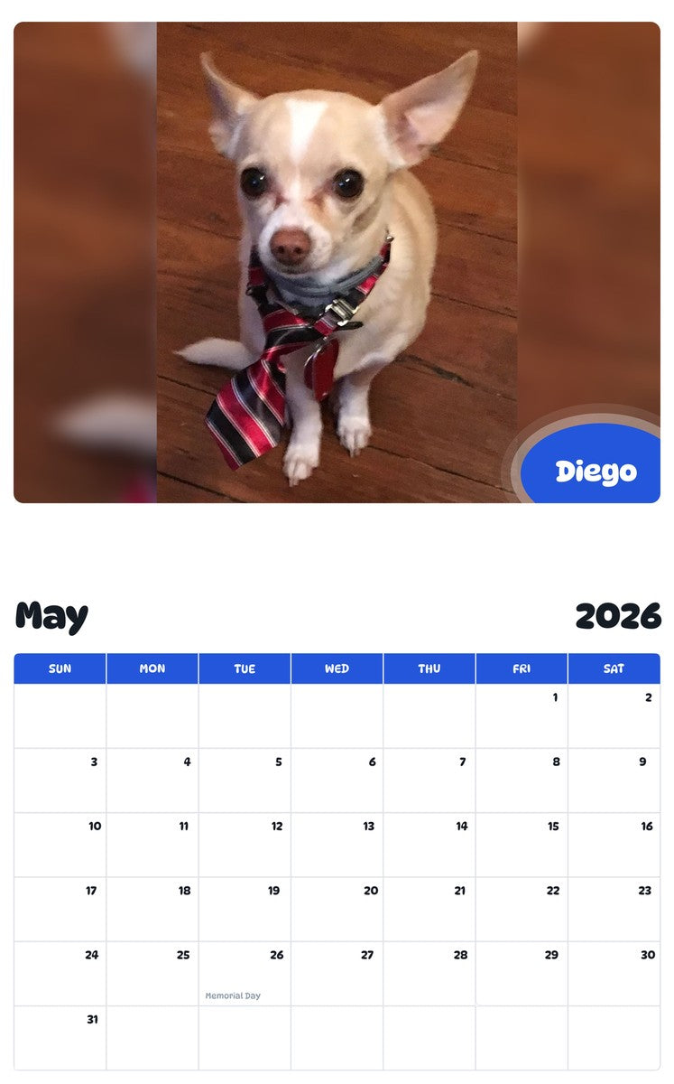 2026 - 2027 Diego - Pawidols Pet Calendar