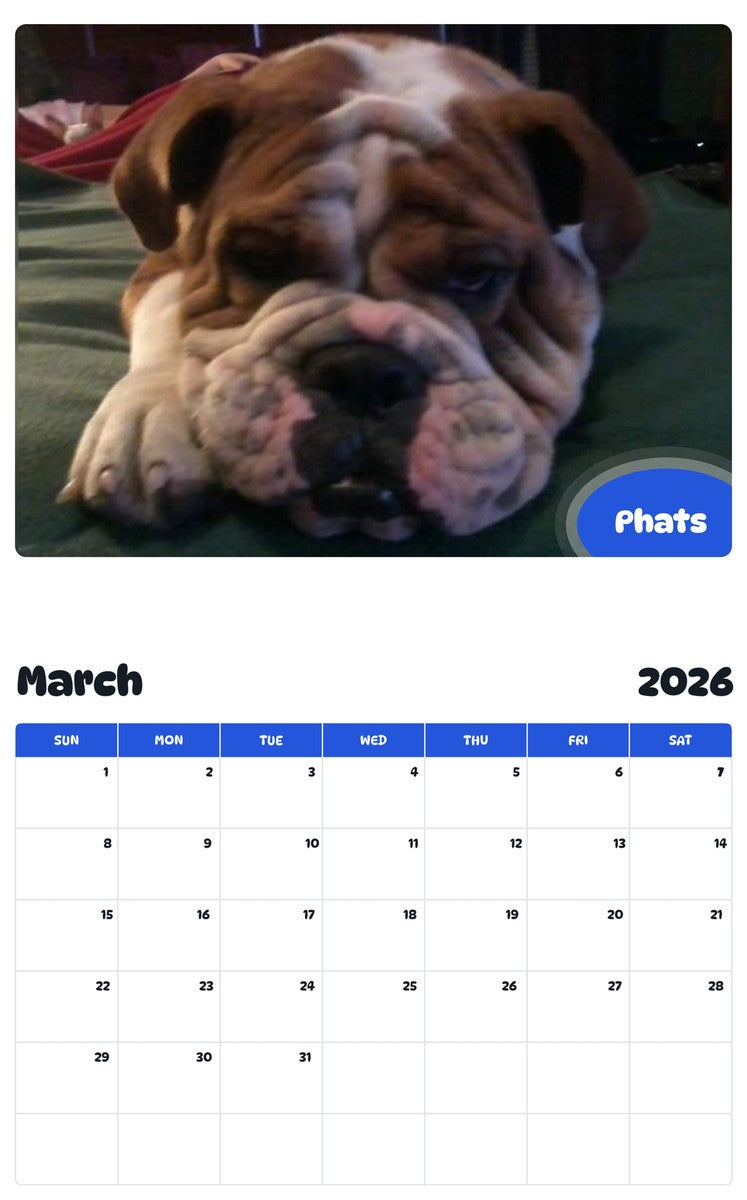 November 2025 - October 2026 Phats - Pawidols Pet Calendar