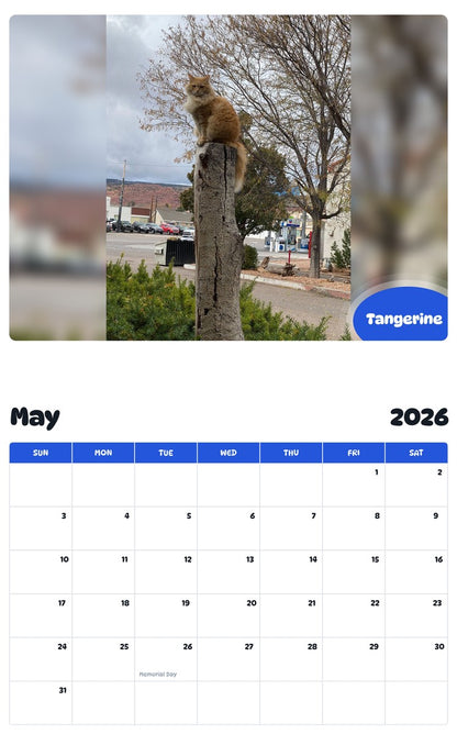 2026 - 2027 Tangerine - Pawidols Pet Calendar