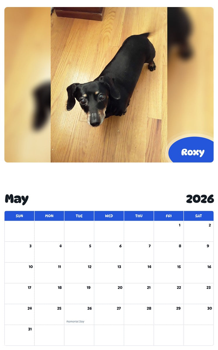 2026 - 2027 Roxy - Pawidols Pet Calendar