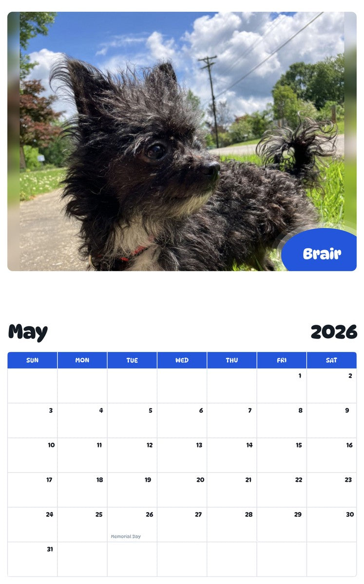2026 - 2027 Brair - Pawidols Pet Calendar