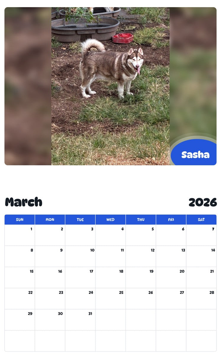 November 2025 - October 2026 Sasha - Pawidols Pet Calendar