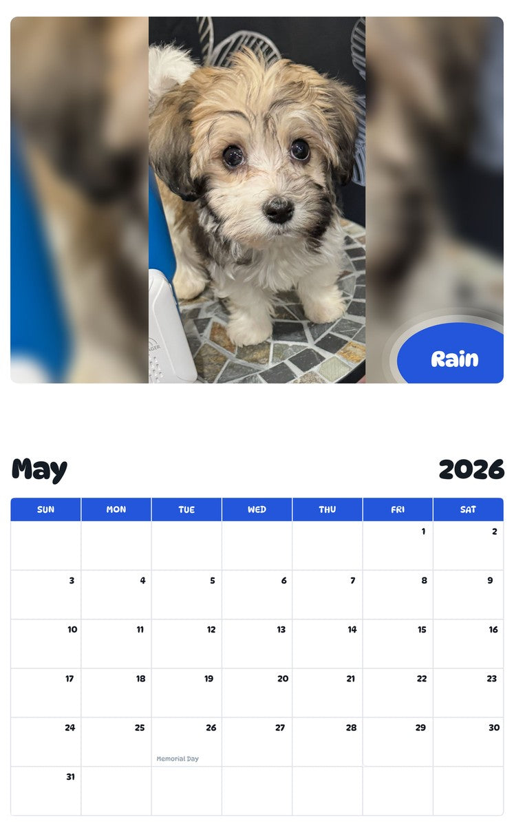 2026 - 2027 Rain - Pawidols Pet Calendar