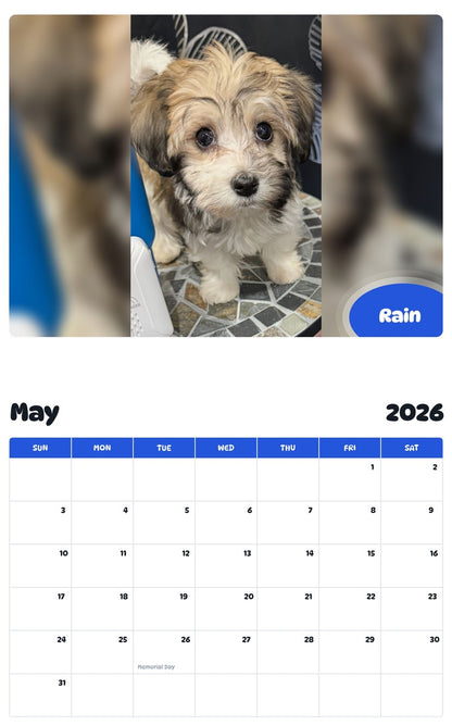 2026 - 2027 Rain - Pawidols Pet Calendar