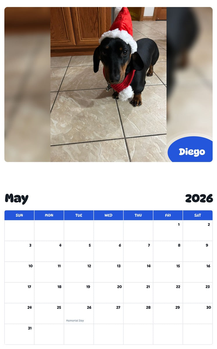 2026 - 2027 Diego - Pawidols Pet Calendar