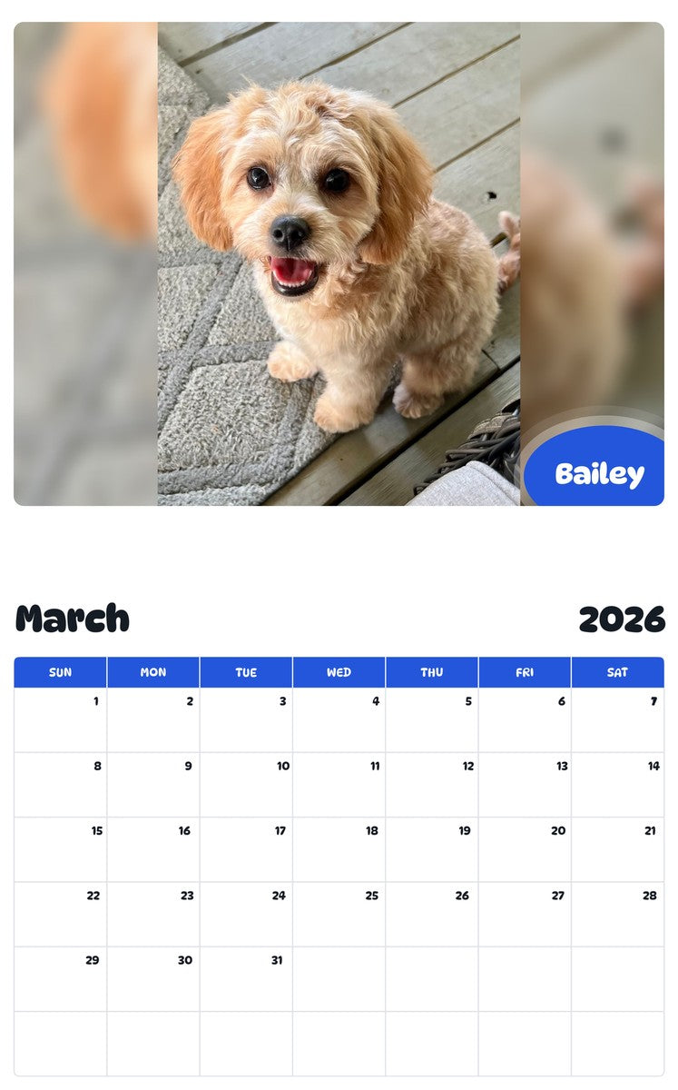 November 2025 - October 2026 Bailey - Pawidols Pet Calendar