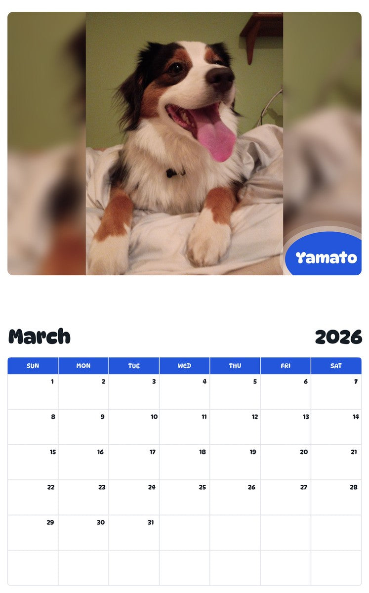 November 2025 - October 2026 Yamato - Pawidols Pet Calendar