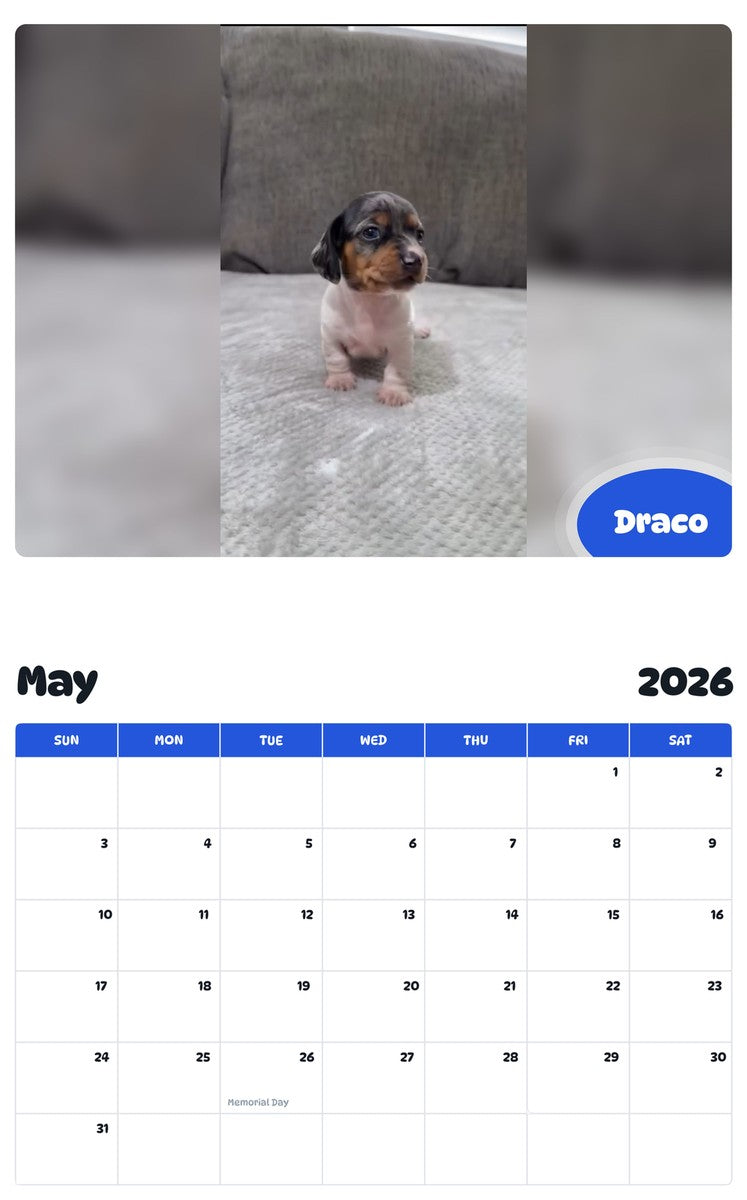 2026 - 2027 Draco - Pawidols Pet Calendar