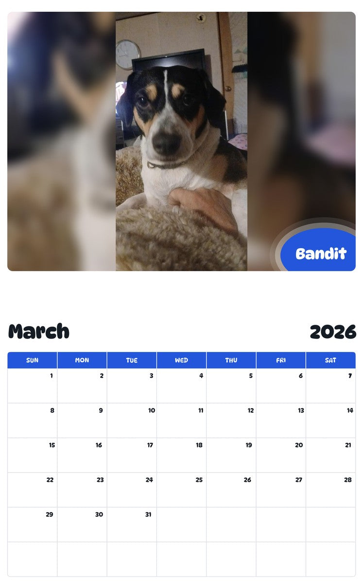 November 2025 - October 2026 Bandit - Pawidols Pet Calendar