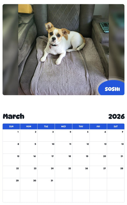 November 2025 - October 2026 SOSHI - Pawidols Pet Calendar